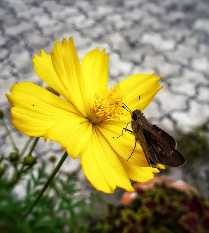 鈴鹿サーキット駐車場おすすめ完全ガイド【混雑回避のコツも】